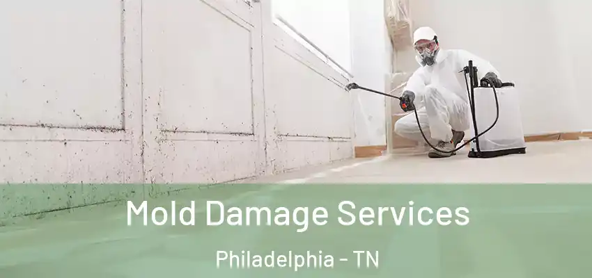 Mold Damage Services Philadelphia - TN