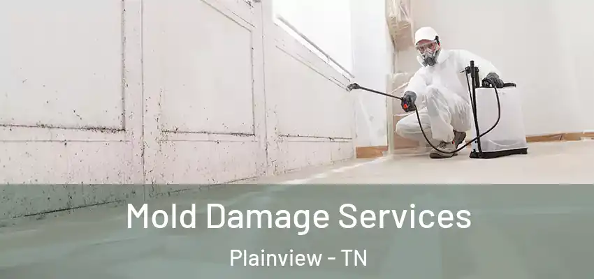  Mold Damage Services Plainview - TN