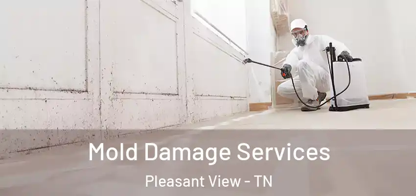  Mold Damage Services Pleasant View - TN