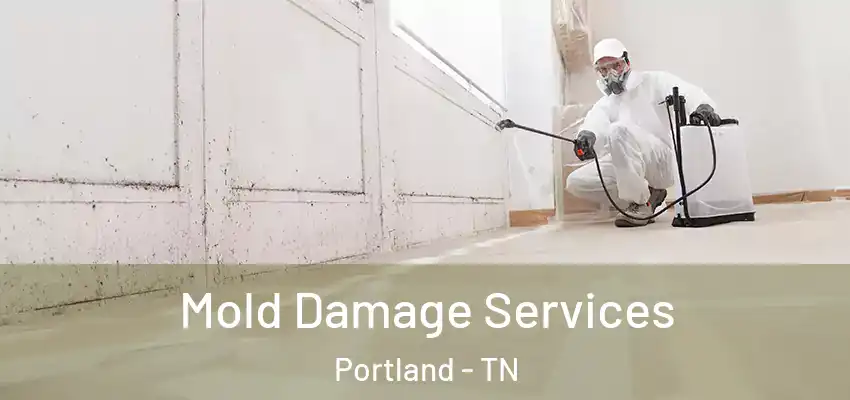 Mold Damage Services Portland - TN