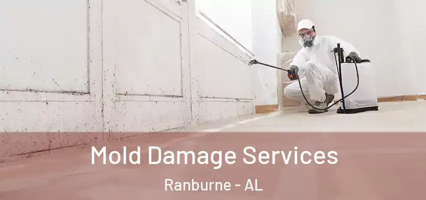 Mold Damage Services Ranburne - AL