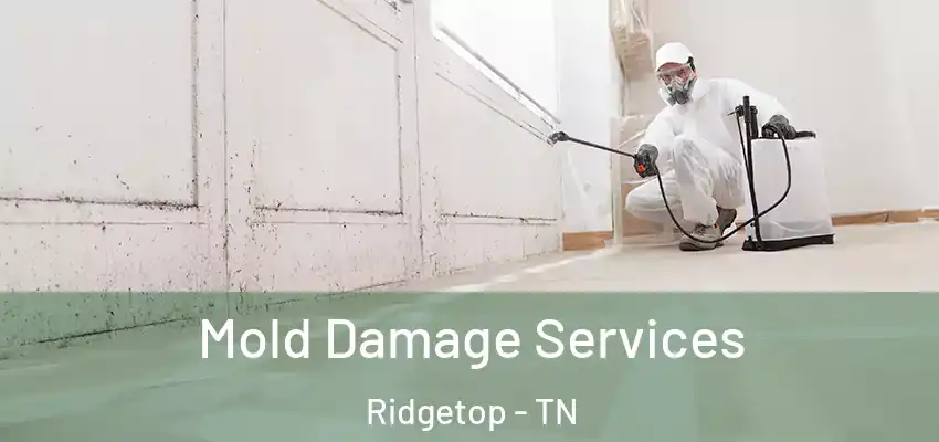 Mold Damage Services Ridgetop - TN