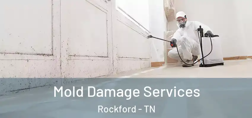  Mold Damage Services Rockford - TN