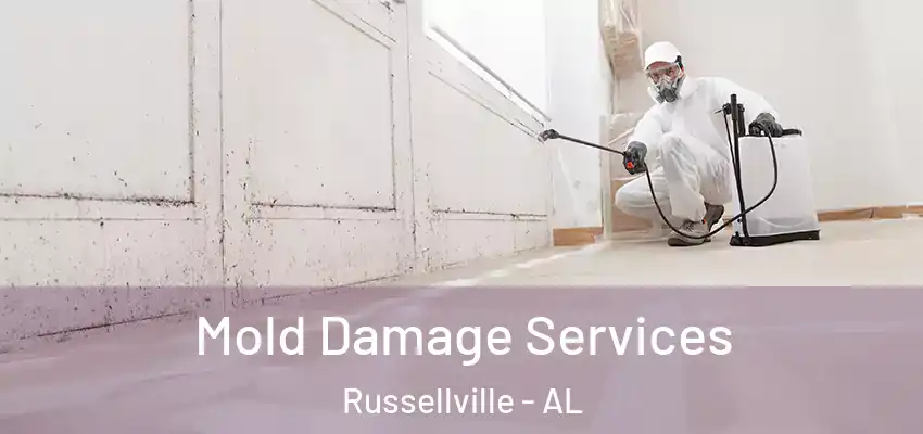  Mold Damage Services Russellville - AL