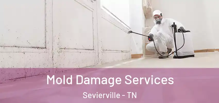  Mold Damage Services Sevierville - TN