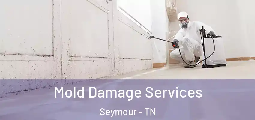  Mold Damage Services Seymour - TN