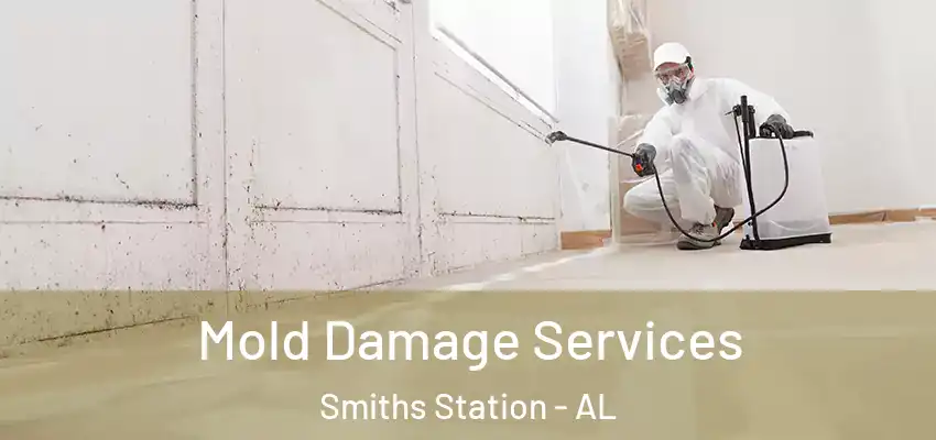  Mold Damage Services Smiths Station - AL