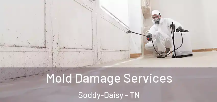  Mold Damage Services Soddy-Daisy - TN