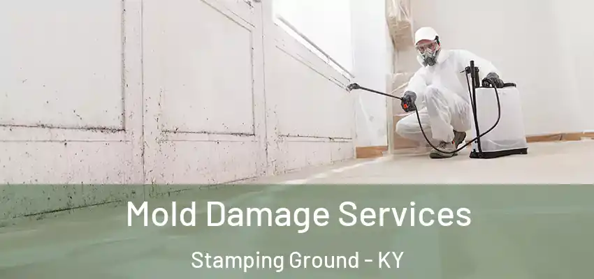  Mold Damage Services Stamping Ground - KY