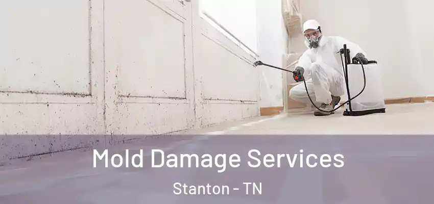  Mold Damage Services Stanton - TN