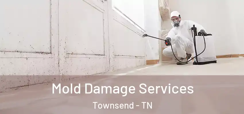 Mold Damage Services Townsend - TN