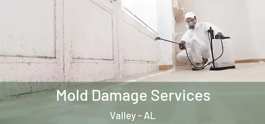 Mold Damage Services Valley - AL