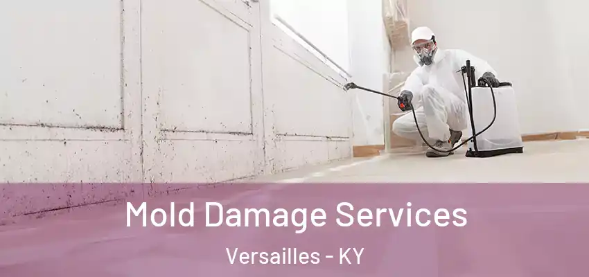 Mold Damage Services Versailles - KY