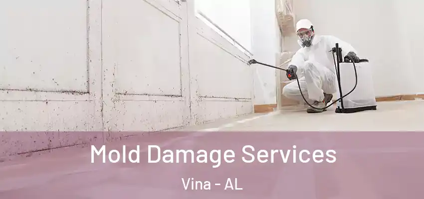  Mold Damage Services Vina - AL