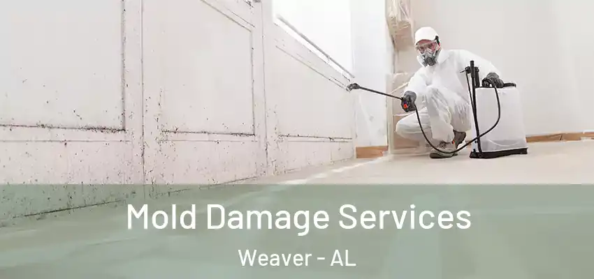  Mold Damage Services Weaver - AL