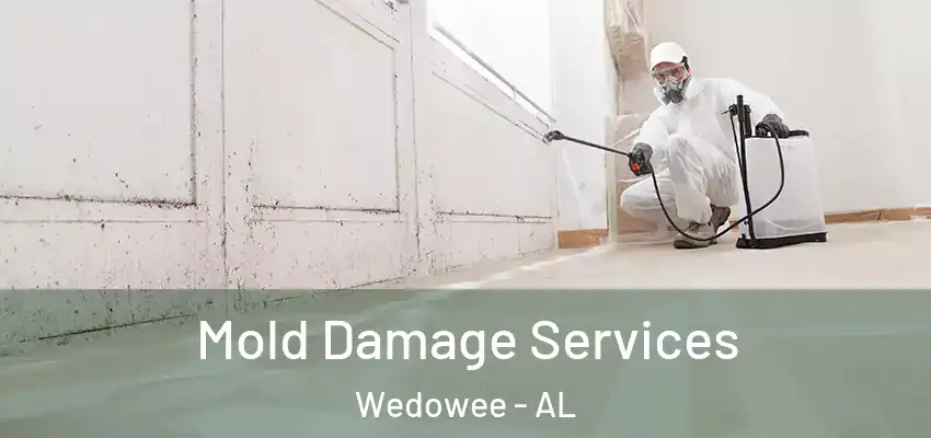  Mold Damage Services Wedowee - AL