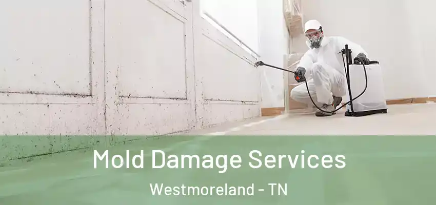 Mold Damage Services Westmoreland - TN