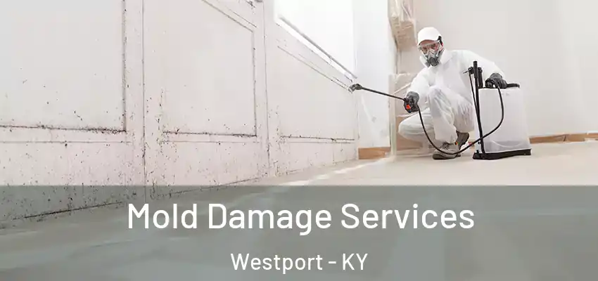 Mold Damage Services Westport - KY