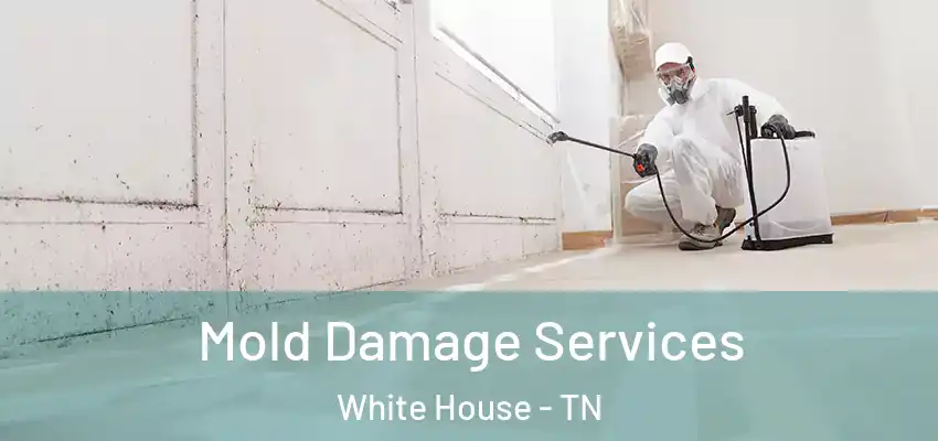 Mold Damage Services White House - TN