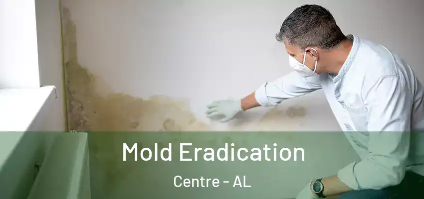  Mold Eradication Centre - AL