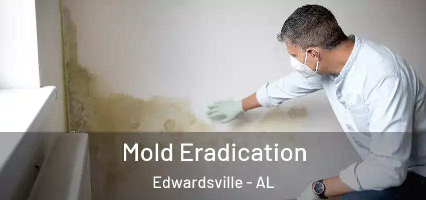 Mold Eradication Edwardsville - AL