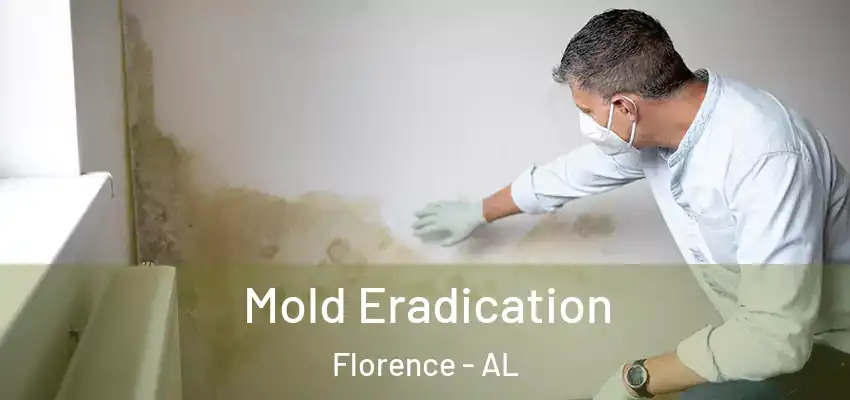  Mold Eradication Florence - AL