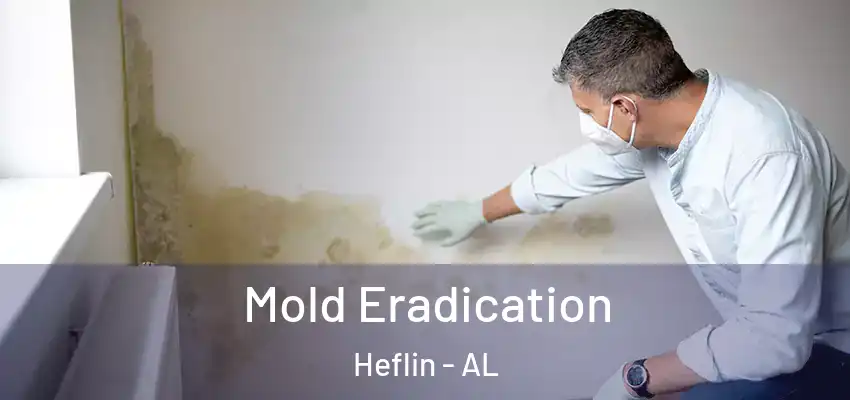 Mold Eradication Heflin - AL