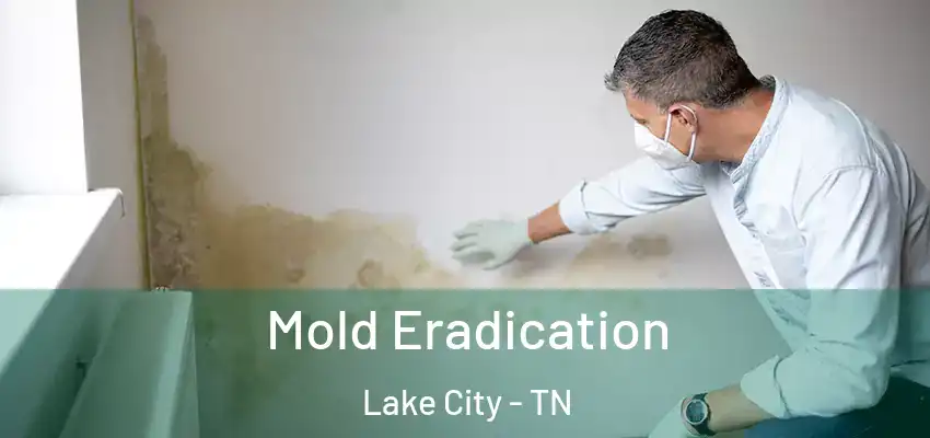  Mold Eradication Lake City - TN