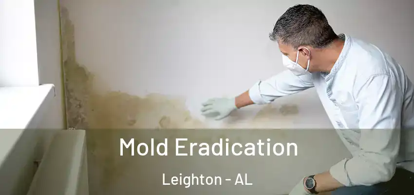 Mold Eradication Leighton - AL
