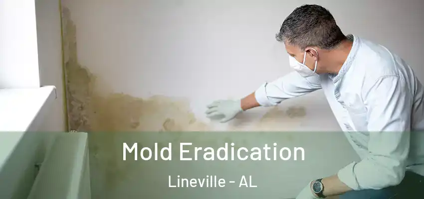  Mold Eradication Lineville - AL