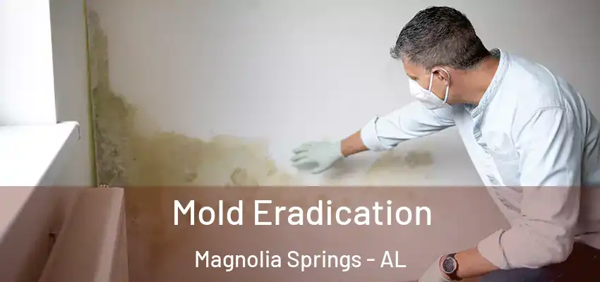 Mold Eradication Magnolia Springs - AL
