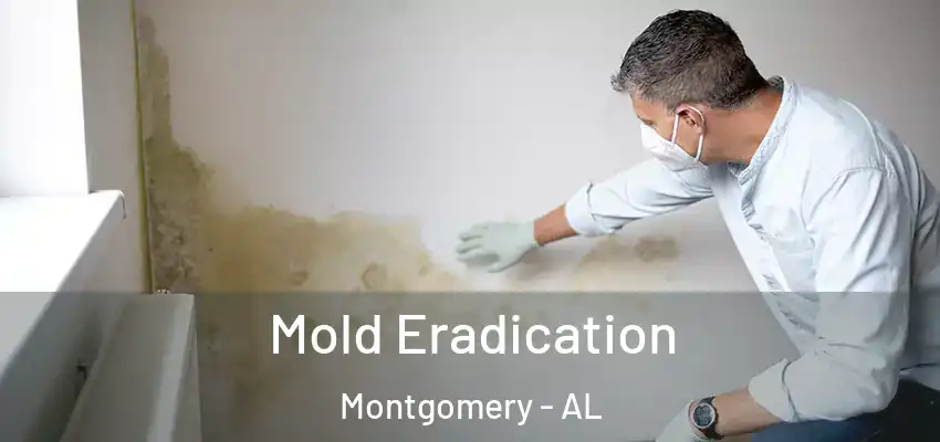  Mold Eradication Montgomery - AL