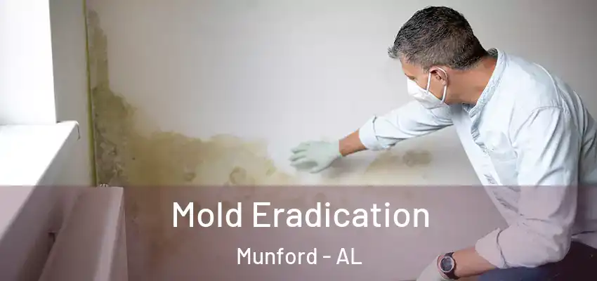 Mold Eradication Munford - AL