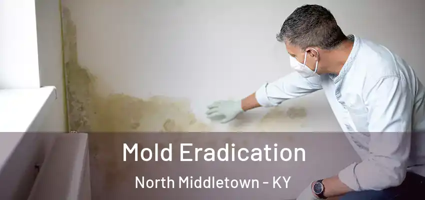 Mold Eradication North Middletown - KY