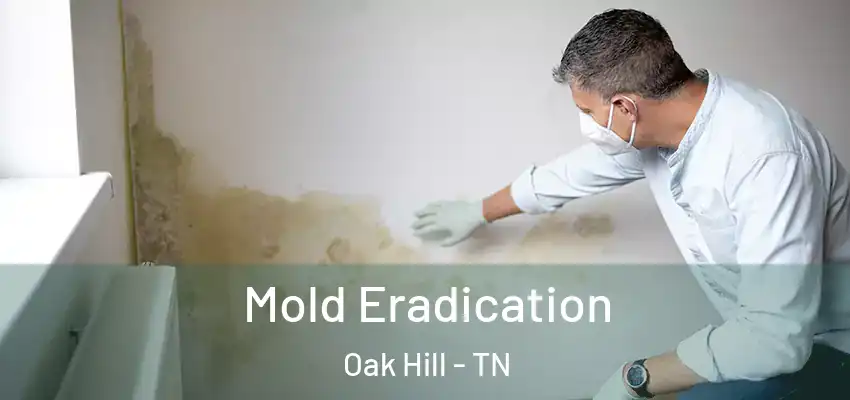  Mold Eradication Oak Hill - TN