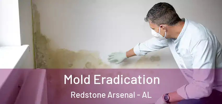  Mold Eradication Redstone Arsenal - AL