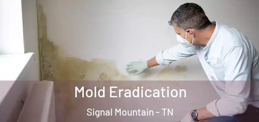  Mold Eradication Signal Mountain - TN