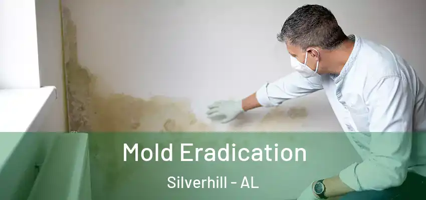  Mold Eradication Silverhill - AL