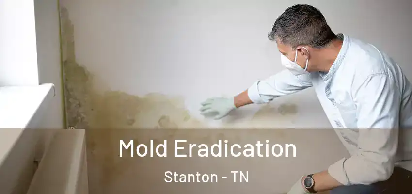  Mold Eradication Stanton - TN