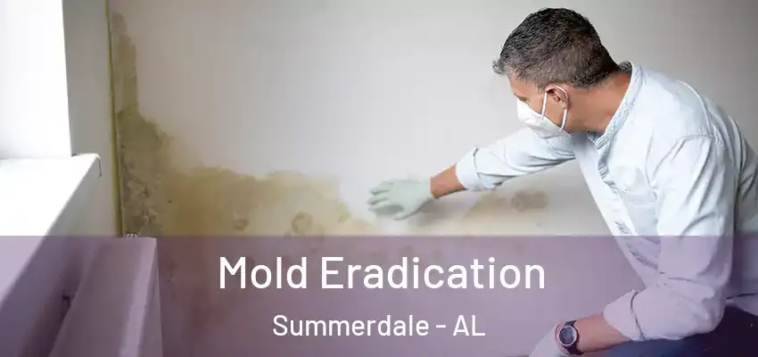  Mold Eradication Summerdale - AL