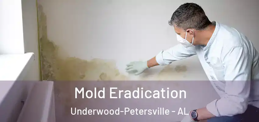 Mold Eradication Underwood-Petersville - AL