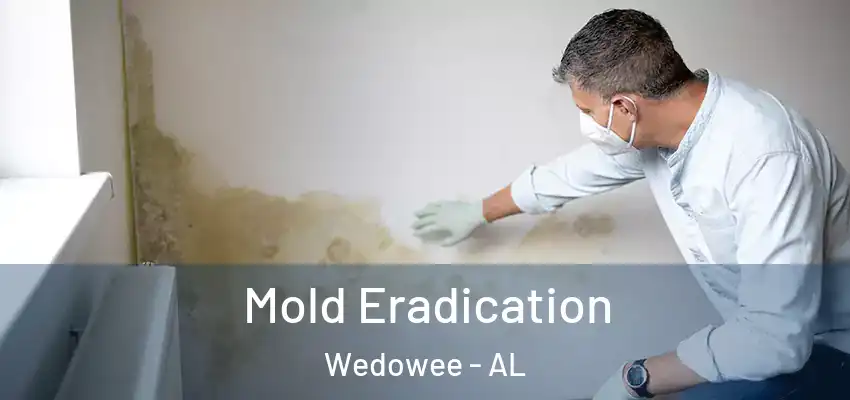  Mold Eradication Wedowee - AL