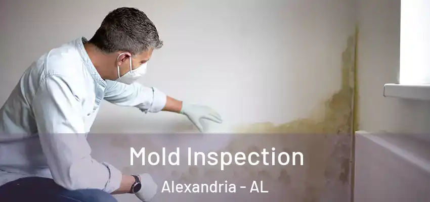 Mold Inspection Alexandria - AL