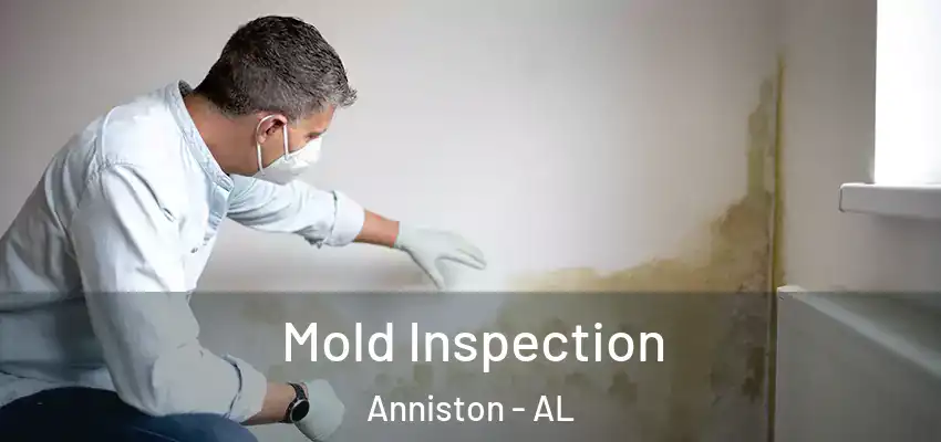  Mold Inspection Anniston - AL