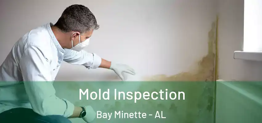 Mold Inspection Bay Minette - AL