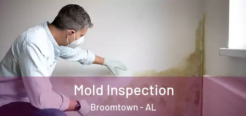 Mold Inspection Broomtown - AL