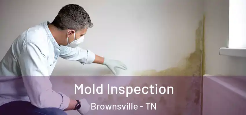 Mold Inspection Brownsville - TN