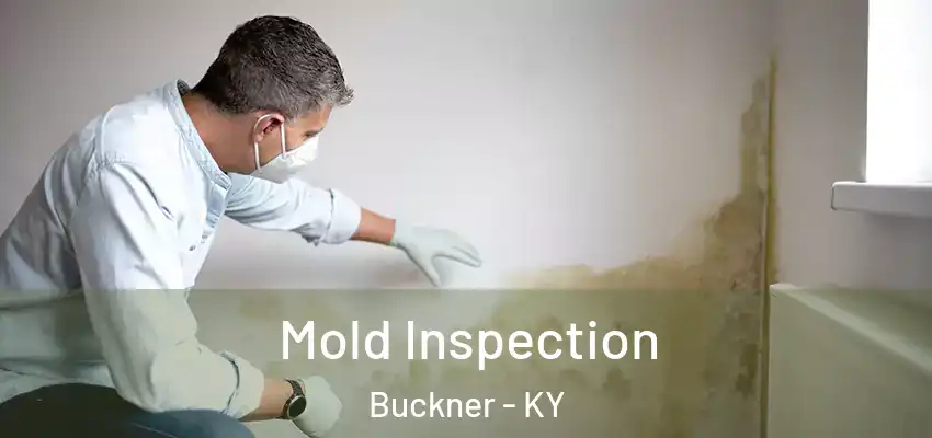  Mold Inspection Buckner - KY