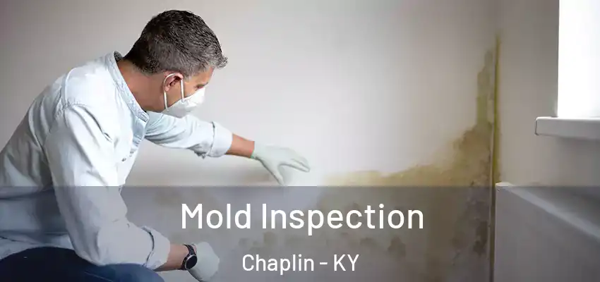 Mold Inspection Chaplin - KY