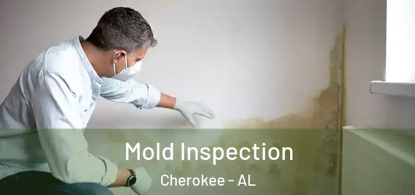  Mold Inspection Cherokee - AL